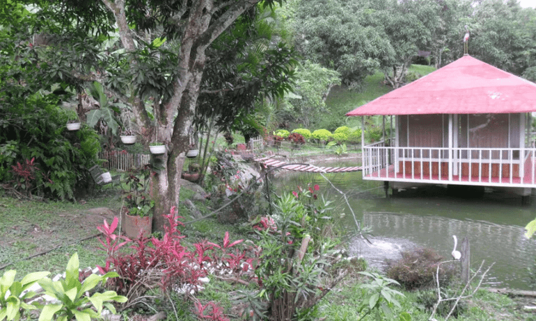 Ayahuasca Retreats in Colombia_Ayahuasca Healing Retreat Colombia