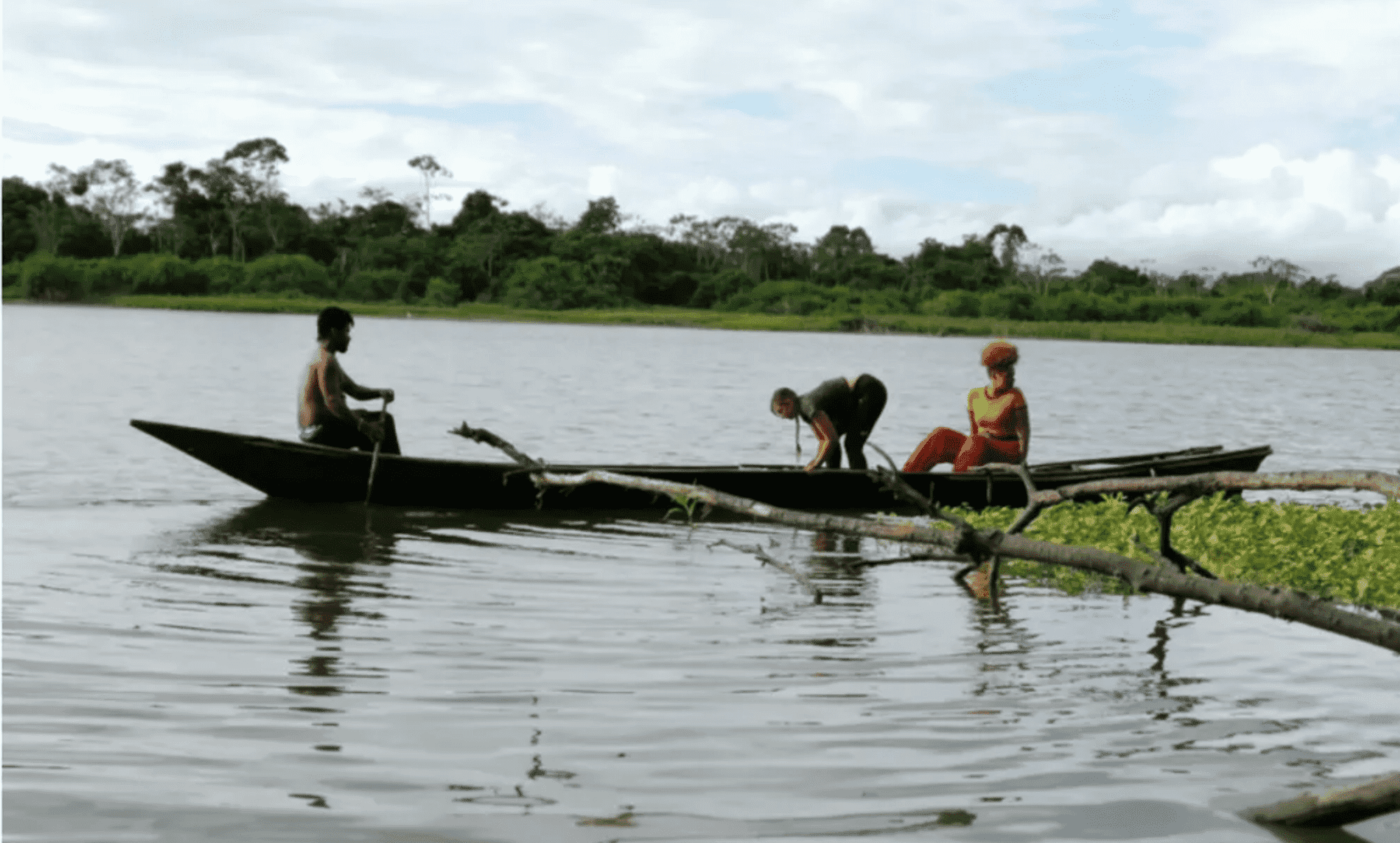 Ayahuasca Retreats in Peru_Mai Niti