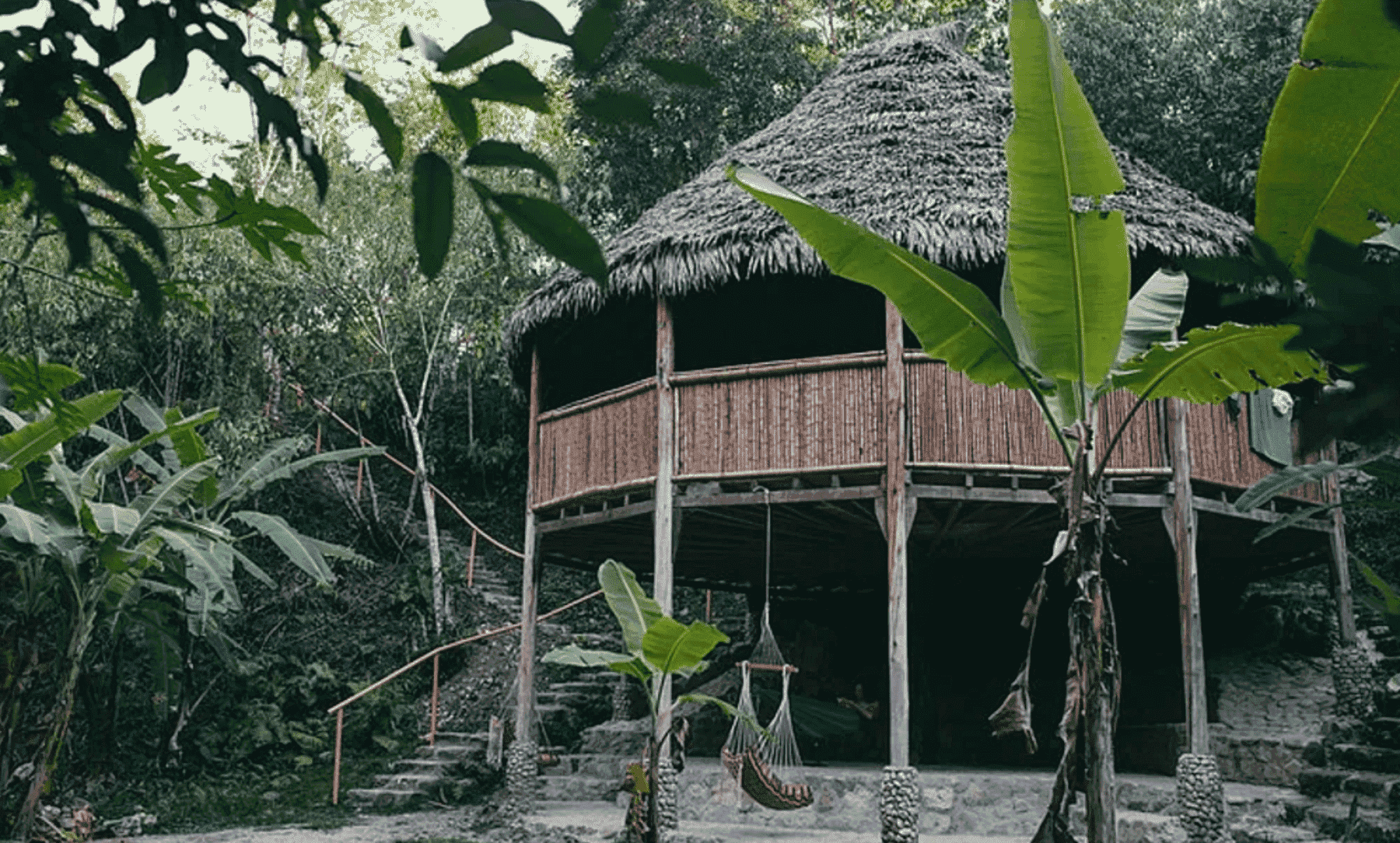 Ayahuasca Retreats in Peru_The Garden of Peace, Ayahuasca & Master Plant Center