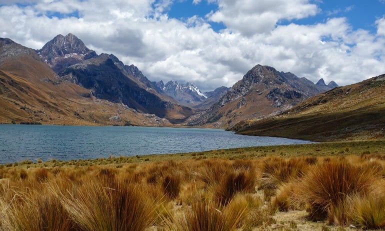 Worlds Best Ayahuasca Retreats_Peru